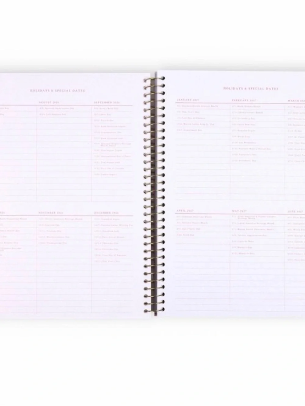 LoveShackFancy x Target - Yoobi Ribbon Rosa Teacher Planner 8.5” X 11”